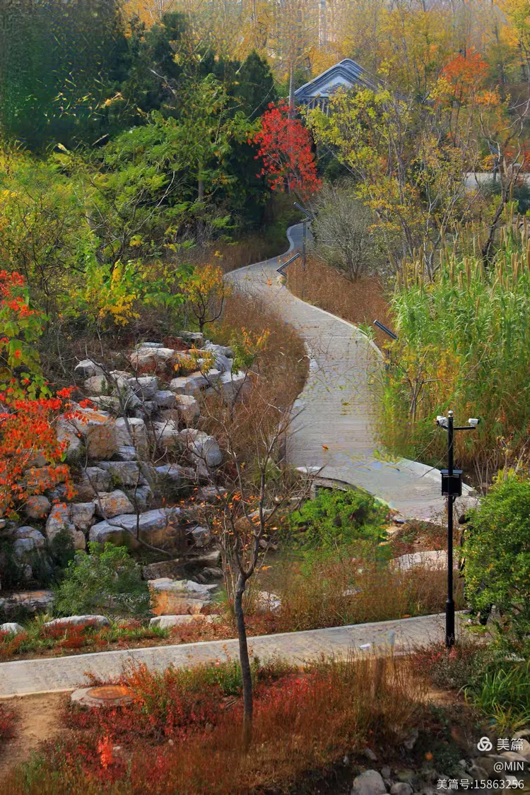 美丽山体公园·卧牛山